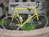 1975 Schwinn Paramount P-14 photo