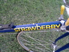 1976  Strawberry Racing Cycle photo