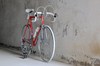1978 Bottecchia - Campione Del Mondo photo