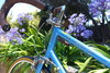 1978 Schwinn Le Tour III photo