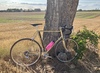 1979 Gazelle Champion Mondial A-Frame photo