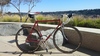 1980 Colnago Saronni photo