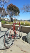 1980 Colnago Saronni photo