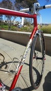 1980 Colnago Saronni photo