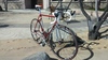 1980 Colnago Saronni photo