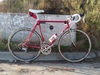 1980 Colnago Saronni photo