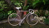 1980's Bianchi Conversion photo