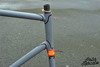 1980's VanEenooghe trackframe (sold) photo