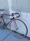 1981 Miyata 310 photo