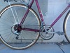 1981 Miyata 310 photo