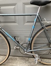 1981 Schwinn Super Sport photo