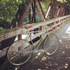 Schwinn Voyageur 11.8 photo