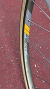 1982 Colnago Saronni photo