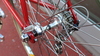 1982 Colnago Saronni photo