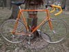 1982 Schwinn Superior photo