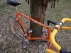 1982 Schwinn Superior photo