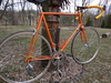 1982 Schwinn Superior photo