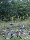 1983 Fuji Espree "nimbus" photo