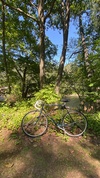 1983 Fuji Espree "nimbus" photo