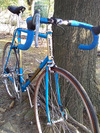 1983 Pro Miyata photo