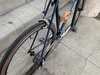 1983 Specialized Sequoia photo 1983 Specialized Sequoia photo