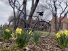 1983 Trek 600 Fixed Gear photo