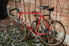1984 Battaglin Giro photo