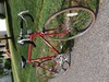 1984 Schwinn World photo