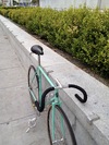 1985 Bianchi Pista photo