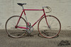 1987 Eddy Merckx team Lotto track #14. photo