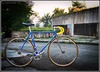 1985 Eddy Merckx Professional photo