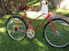 1985 Schwinn Mesa Runner  "Petra's Bike" photo