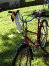 1985 Schwinn Mesa Runner  "Petra's Bike" photo