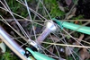 1986 Bianchi Grizzly photo