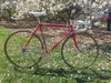 1986 De Rosa Professional SLX photo