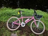 1986.5 Cannondale Team Pepto-Bismol photo