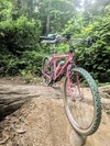 1986.5 Cannondale Team Pepto-Bismol photo