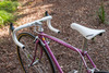 1987 Schwinn Super Sport photo