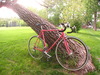 1988 Fuji Tiara photo
