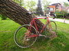 1988 Fuji Tiara photo