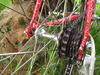 1988 Fuji Tiara photo