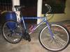 1989 Raleigh Pointe photo