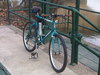 1989 Raleigh Technium Mt. Bike photo