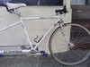 Schwinn Duo Sport Tandem photo