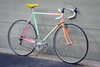 1989 Schwinn Paramount Special Edition? photo