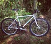 1989 Specialized RockHopper photo