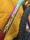 1989 specialized stumpjumper custom photo