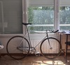 1985 Alan Record Chrono Pista photo