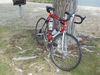 1990 Cannondale 3.0 photo
