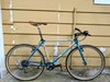 1992 Raleigh Technium Chill 650b photo